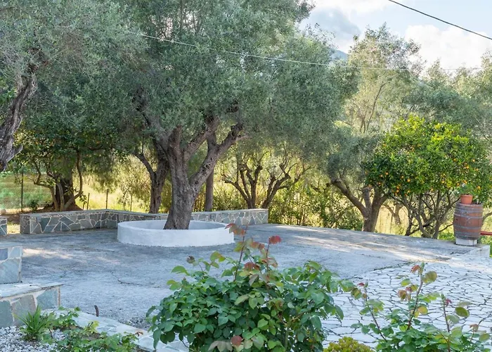 House 'to Abeli'